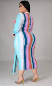 Curvy (Plus) Beauty Stripes Dress